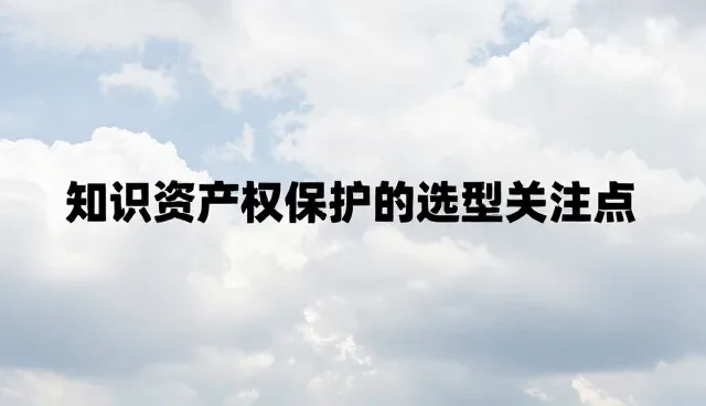 性能优化中知识产权保护的选型关注点